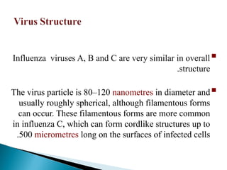 
Influenza viruses A, B and C are very similar in overall
structure
.

The virus particle is 80–120 nanometres in diameter and
usually roughly spherical, although filamentous forms
can occur. These filamentous forms are more common
in influenza C, which can form cordlike structures up to
500 micrometres long on the surfaces of infected cells
.
 