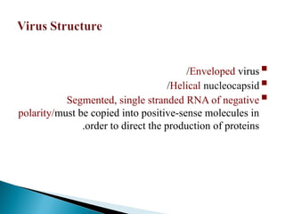 
Enveloped virus
/

Helical nucleocapsid
/

Segmented, single stranded RNA of negative
polarity/must be copied into positive-sense molecules in
order to direct the production of proteins
.
 
