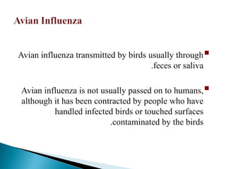 
Avian influenza transmitted by birds usually through
feces or saliva
.

Avian influenza is not usually passed on to humans,
although it has been contracted by people who have
handled infected birds or touched surfaces
contaminated by the birds
.
 