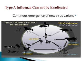 
Continous emergence of new virus variant
 