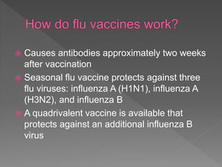  Causes antibodies approximately two weeks
after vaccination
 Seasonal flu vaccine protects against three
flu viruses: influenza A (H1N1), influenza A
(H3N2), and influenza B
 A quadrivalent vaccine is available that
protects against an additional influenza B
virus
 