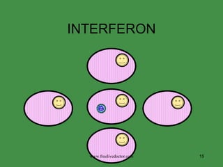 INTERFERON www.freelivedoctor.com 