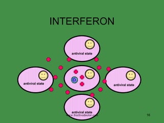 INTERFERON www.freelivedoctor.com antiviral state antiviral state antiviral state antiviral state 