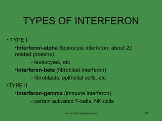 TYPES OF INTERFERON TYPE I Interferon-alpha  (leukocyte interferon, about 20  related proteins) - leukocytes, etc Interferon-beta  (fibroblast interferon) - fibroblasts, epithelial cells, etc TYPE II Interferon-gamma  (immune interferon) - certain activated T-cells, NK cells  www.freelivedoctor.com 