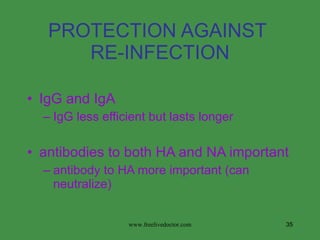 PROTECTION AGAINST  RE-INFECTION IgG and IgA IgG less efficient but lasts longer antibodies to both HA and NA important antibody to HA more important (can neutralize) www.freelivedoctor.com 