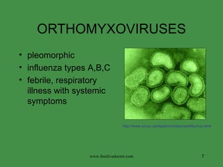 ORTHOMYXOVIRUSES http://www.uct.ac.za/depts/mmi/stannard/fluvirus.html pleomorphic influenza types A,B,C febrile, respiratory illness with systemic symptoms www.freelivedoctor.com 