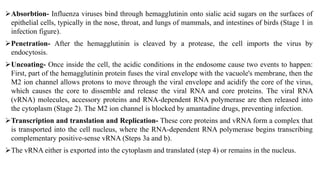 Protons Virus influenza virus.pdf easy format and understanding | PDF