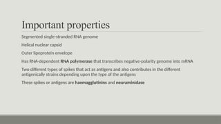 Important properties
Segmented single-stranded RNA genome
Helical nuclear capsid
Outer lipoprotein envelope
Has RNA-dependent RNA polymerase that transcribes negative-polarity genome into mRNA
Two different types of spikes that act as antigens and also contributes in the different
antigenically strains depending upon the type of the antigens
These spikes or antigens are haemagglutinins and neuraminidase
 