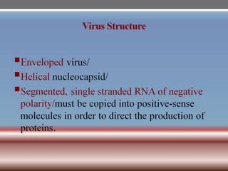 INFLUENZA VIRUSES .pptx