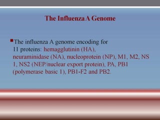 INFLUENZA VIRUSES .pptx