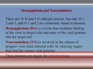 INFLUENZA VIRUSES .pptx