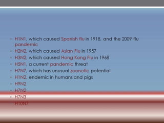 INFLUENZA VIRUSES .pptx