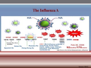 INFLUENZA VIRUSES .pptx