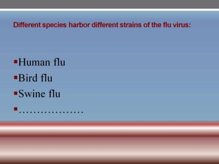 INFLUENZA VIRUSES .pptx