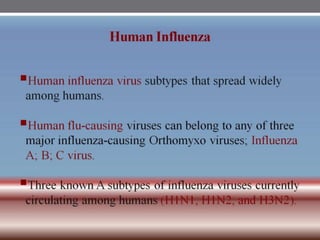 INFLUENZA VIRUSES .pptx