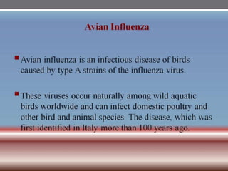 INFLUENZA VIRUSES .pptx