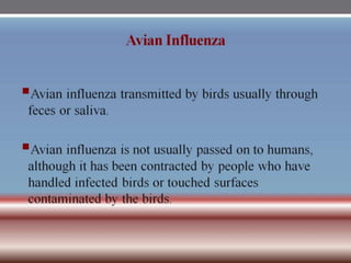 INFLUENZA VIRUSES .pptx