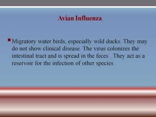 INFLUENZA VIRUSES .pptx