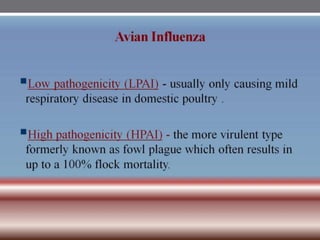 INFLUENZA VIRUSES .pptx