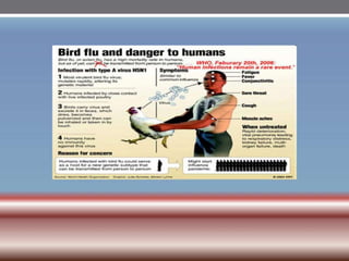 INFLUENZA VIRUSES .pptx