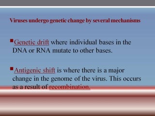 INFLUENZA VIRUSES .pptx