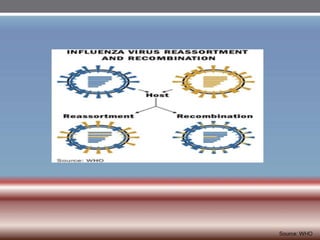 INFLUENZA VIRUSES .pptx