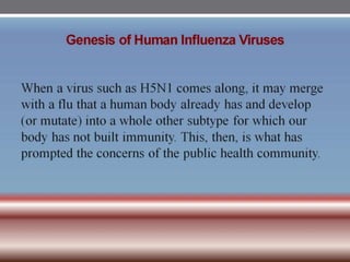 INFLUENZA VIRUSES .pptx