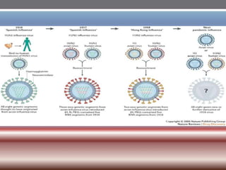 INFLUENZA VIRUSES .pptx