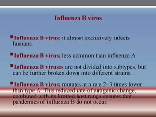 INFLUENZA VIRUSES .pptx