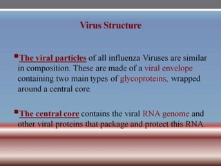 INFLUENZA VIRUSES .pptx