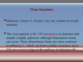 INFLUENZA VIRUSES .pptx