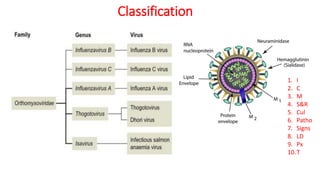 Influenza virus notes | PDF