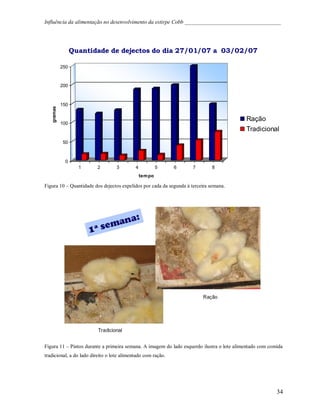 Influência da Alimentação no Desenvolvimento de Cobb