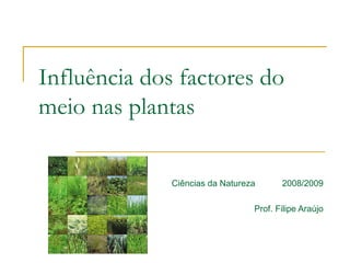 Influência dos factores do meio nas plantas Ciências da Natureza  2008/2009 Prof. Filipe Araújo 
