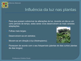 Ciências Naturais



Para que possam sobreviver às alterações de luz, durante um dia ou um
certo período de tempo, estes seres vivos desenvolvem as mais variadas
adaptações.



Folhas mais largas;



Desenvolvem-se em estratos;



Movem-se em direção à luz (fototropismo);



Florescem de acordo com o seu fotoperíodo (plantas de dias curtos/ plantas
de dias longos)

Professora Cristina Couto

 