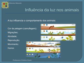 Ciências Naturais



A luz influencia o comportamento dos animais:



Cor da pelagem (camuflagem);



Migrações;



Atividade;



Reprodução;



Movimento;



Humor.

Professora Cristina Couto

 