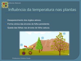 Ciências Naturais



Desaparecimento dos órgãos aéreos;



Forma cónica das árvores de folha persistente;



Queda das folhas nas árvores de folha caduca.

Professora Cristina Couto

 