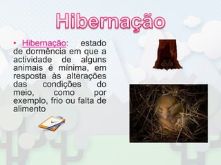 HibernaçãoHibernação: estado de dormência em que a actividade de alguns animais é mínima, em resposta às alterações das condições do meio, como por exemplo, frio ou falta de alimento