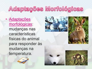 Adaptações MorfológicasAdaptações morfológicas: mudanças nas características físicas do animal para responder às mudanças na temperatura.