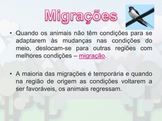 MigraçõesQuando os animais não têm condições para se adaptarem às mudanças nas condições do meio, deslocam-se para outras regiões com melhores condições – migração.A maioria das migrações é temporária e quando na região de origem as condições voltarem a ser favoráveis, os animais regressam.