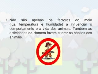 Não são apenas os factores do meio (luz, temperatura e humidade) a influenciar o comportamento e a vida dos animais. Também as actividades do Homem fazem alterar os hábitos dos animais.