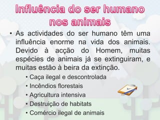 Influência do ser humano nos animaisAs actividades do ser humano têm uma influência enorme na vida dos animais. Devido à acção do Homem, muitas espécies de animais já se extinguiram, e muitas estão à beira da extinção.Caça ilegal e descontroladaIncêndios florestaisAgricultura intensivaDestruição de habitatsComércio ilegal de animais