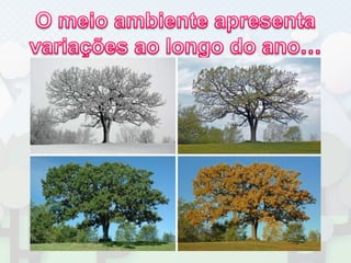 O meio ambiente apresenta variações ao longo do ano…