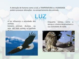 A alteração de factores como a LUZ, a TEMPERATURA e a HUMIDADE  podem provocar alterações  no comportamento dos animais.LUZA luz influencia a actividade dos animais.Existem animais diurnos, ou seja, são mais activos no período de luz.Enquanto outros, como a coruja e a lontra desenvolvem a sua actividade de noite.