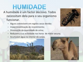 HUMIDADEA humidade é um factor decisivo. Todos necessitam dela para o seu organismo funcionar.Alguns sobrevivem em regiões secas devido:Impermeabilização do revestimento;Diminuição da quantidade de urina;Reduzem a sua actividade nas horas  de maior secura;Acumulam água no interior do corpo.