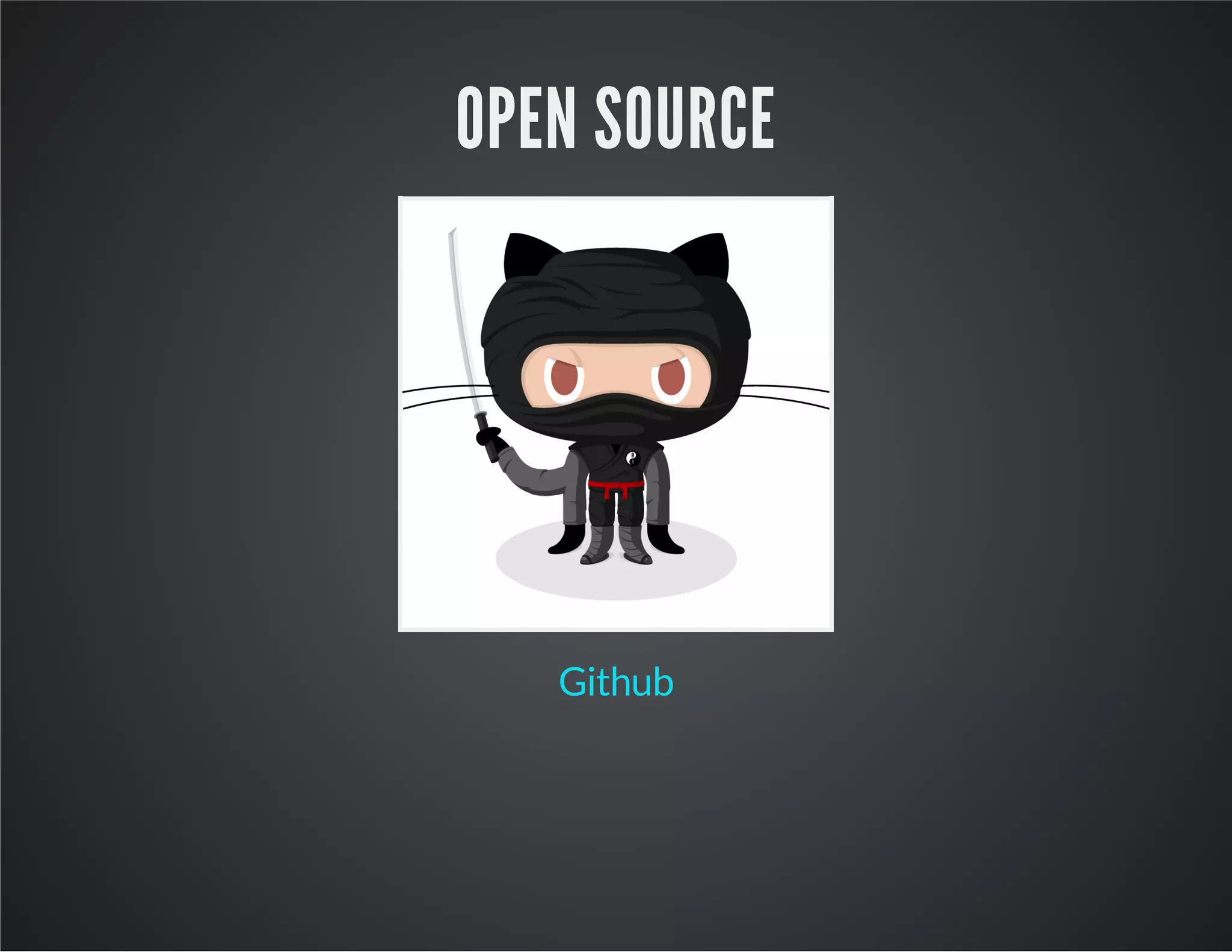 OPEN SOURCE Github 