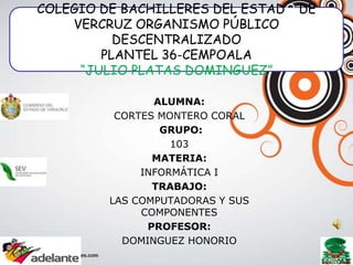 COLEGIO DE BACHILLERES DEL ESTADO DE
    VERCRUZ ORGANISMO PÚBLICO
          DESCENTRALIZADO
        PLANTEL 36-CEMPOALA
 ...