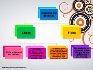 Organizador
                                    de datos




               Lógica                                        ...