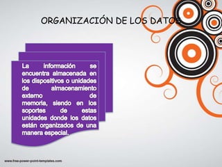 ORGANIZACIÓN DE LOS DATOS
 