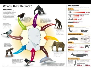 Infographic